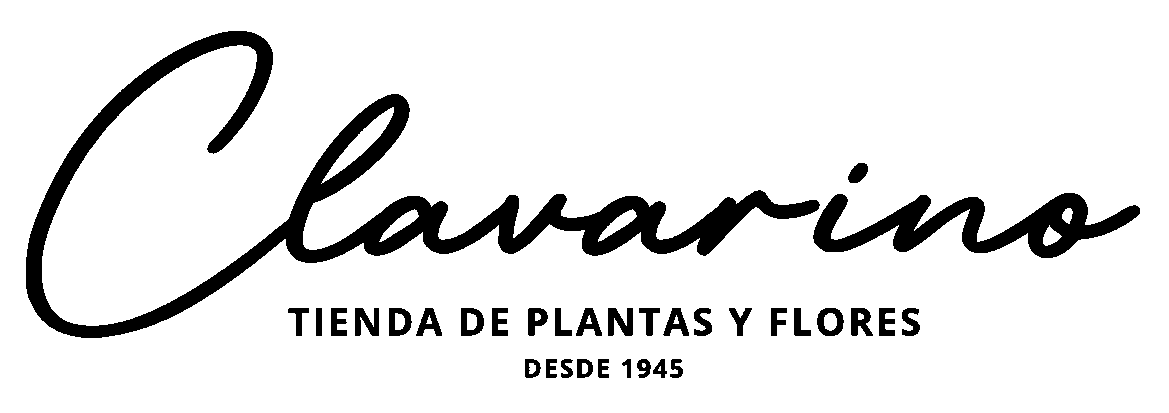 Clavarino